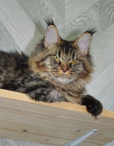 Oskar